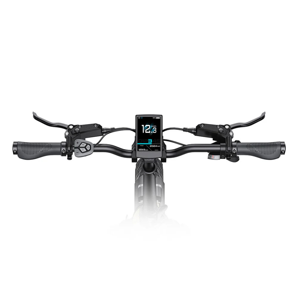 ENGWE L20 3.0 Pro - ZwartENGWE L20 3.0 Pro - Zwart