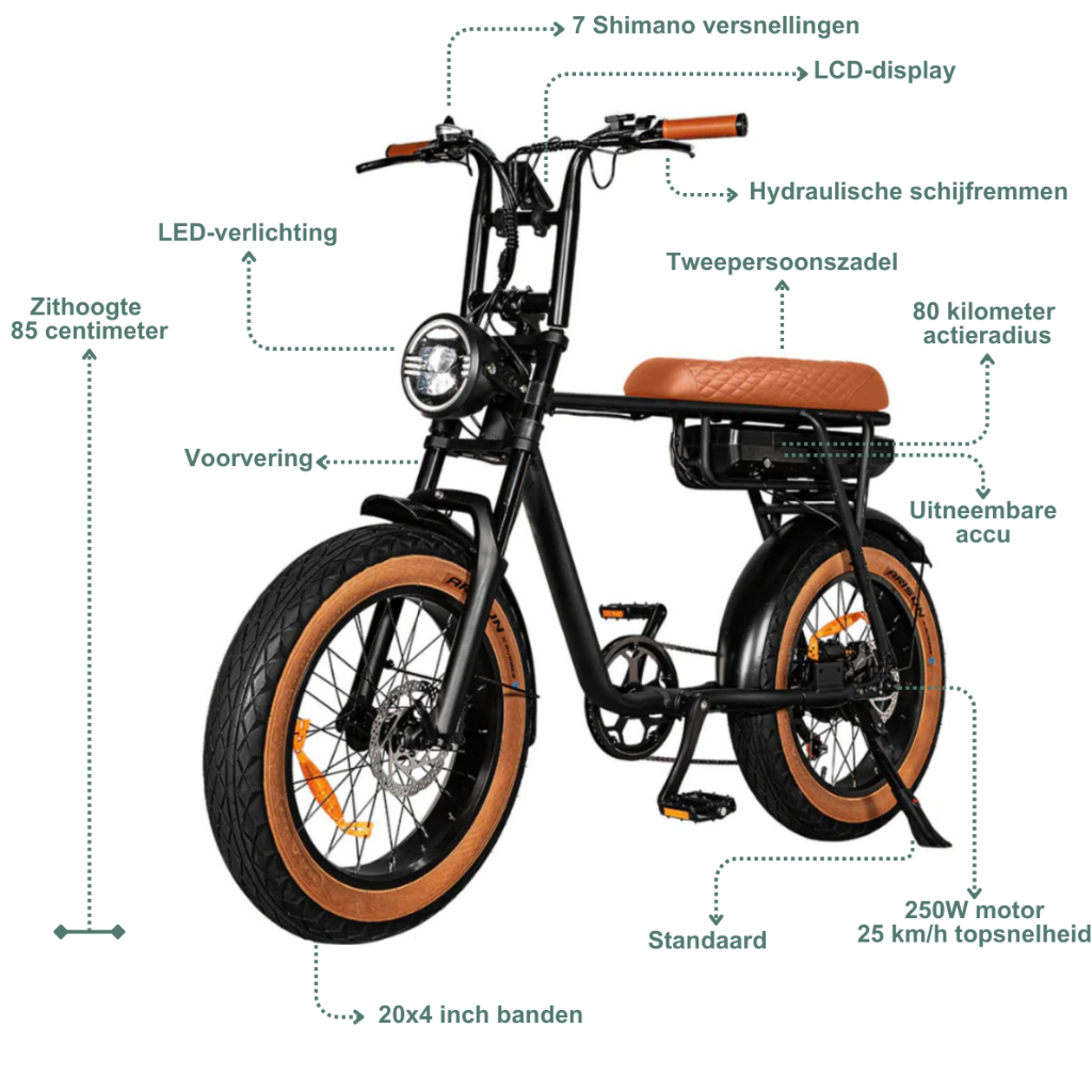 EB2 Fatbike - Bruin
